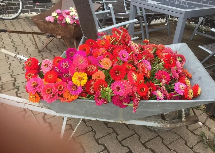 Pensjonat Landpension-dette 3*